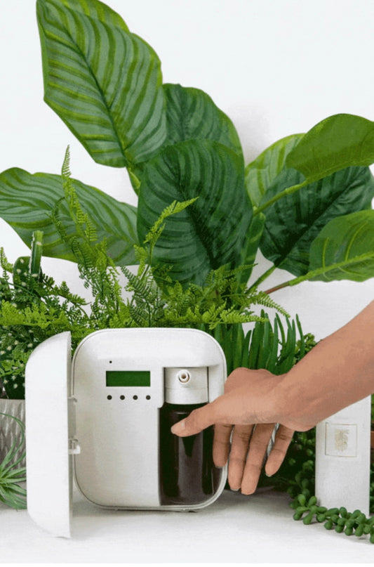 Blondie Mini Diffusers- Thomas Blonde