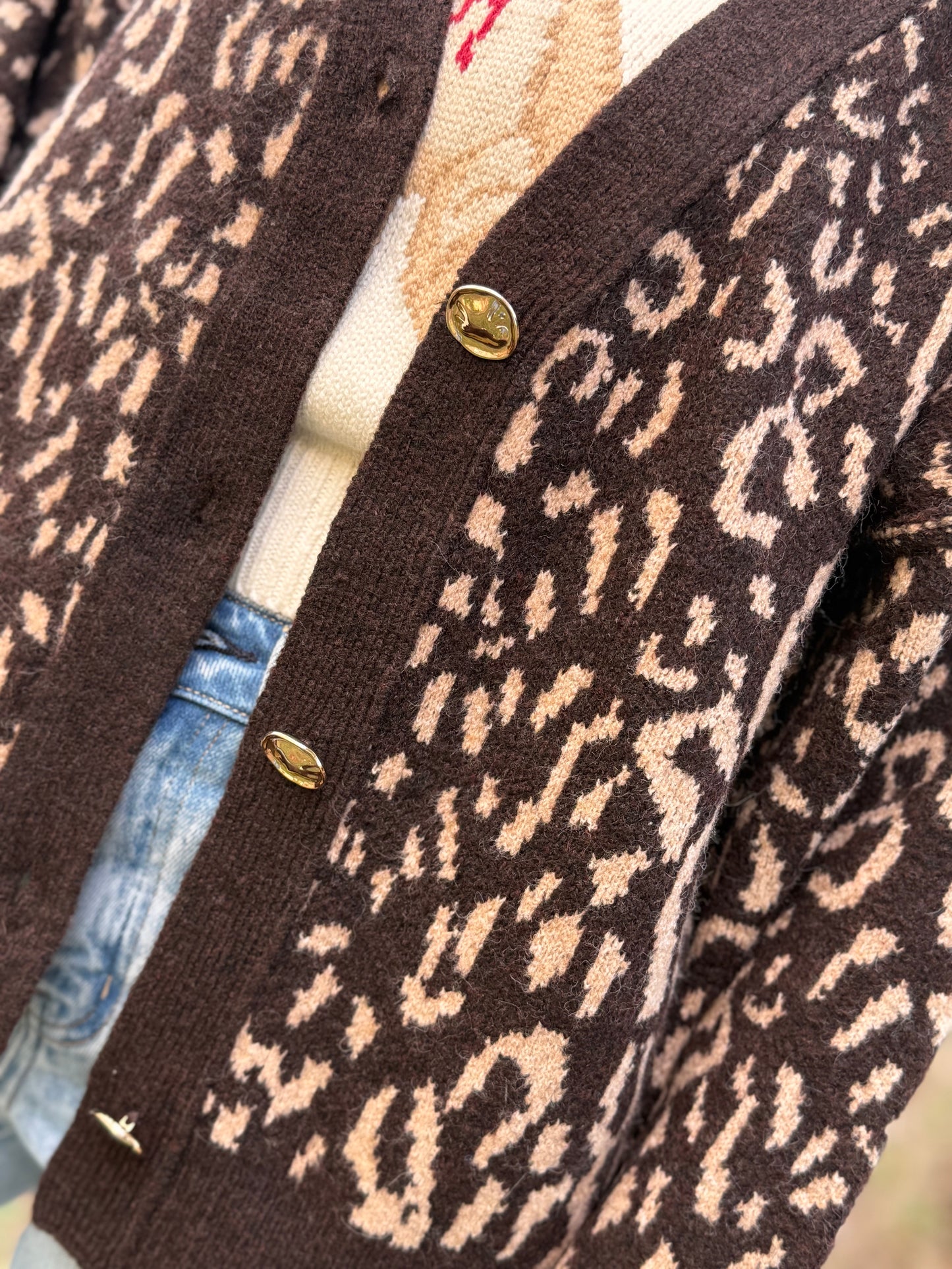 Rich Brown Cheetah Cardigan